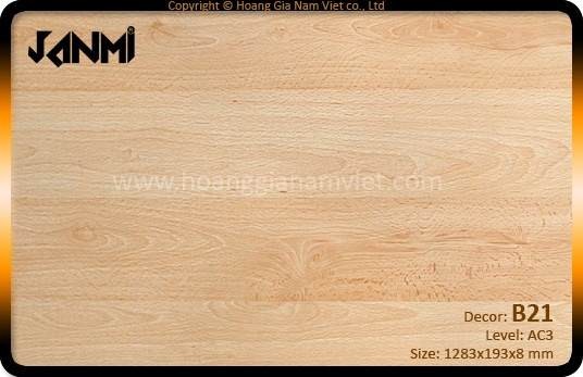 Sàn gỗ chịu nước Janmi B21 (8mm)