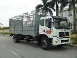 Công ty vận tải trong nội thành TP.HCM và 63 tỉnh thành trong nước