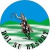 company name