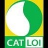 company name