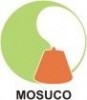 company name