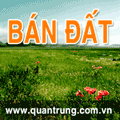 Bán đất 5.000m2 tại Hàm Thắng - Bình Thuận