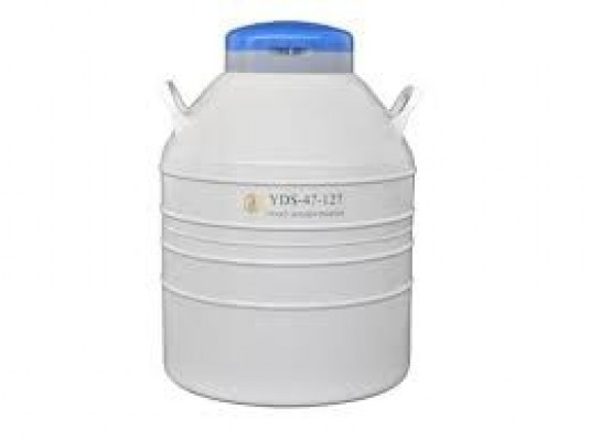 Bình chứa Nito lỏng 10 lít