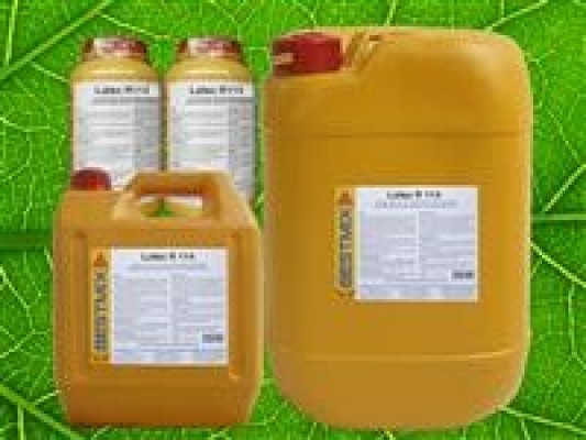 Chống thấm Best Latex R114
