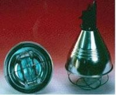 Đèn sưởi Halogen HL-01