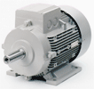 Động cơ điện Siemens - Hạ thế tiêu chuẩn