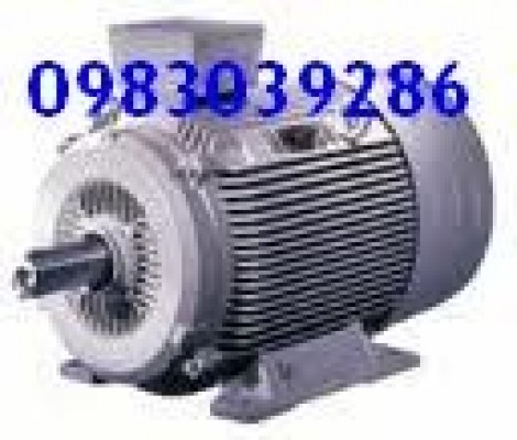 Động cơ Siemens 250Kw - Có hàng sẵn