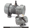 Motor Rung