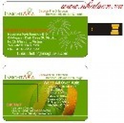 USB THẺ, USB CARD VISIT, USB THẺ ATM