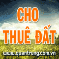 Đất cho thuê ( Khu công nghiệp Phan Thiết )