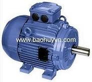 Motor điện , đông cơ điện WEG