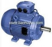 Motor điện , đông cơ điện WEG