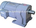 Motor giảm tốc , động cơ giảm tốc MCN