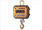 5000Kg Cân treo CastonIII 5THD
