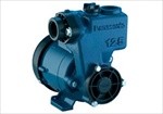  125W Bơm đẩy cao GP-129JX