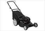  22" Máy cắt cỏ đẩy Poulan 5.5HP PO550N21RH3