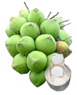 Coconut Water ( Nước Dừa )