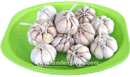 Tỏi nguyên củ