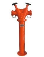 Trụ chữa cháy 2 cửa D65, Trụ nước chữa cháy than D100 2 cửa D65,