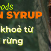Đường Tự nhiên Hữu cơ  Forest Food