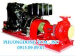 máy bơm cứu hỏa Diesel(đầu nổ Lombardini, đầu nổ Kohler, đầu nổ Iveco)