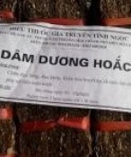 Dâm dương hoắc