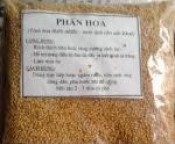 Phấn hoa mật ong