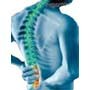 Hirmens Cartoxl: Thuốc Chữa Bệnh thoái hoá cột sống 