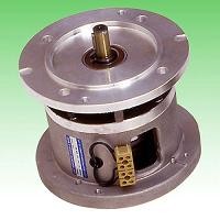 Li hợp điện từ