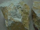 test2