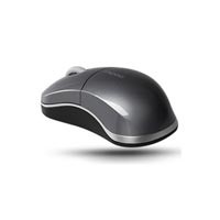 Rapoo Mouse 1100
