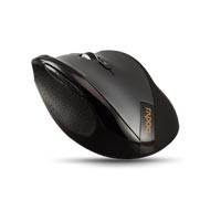 Rapoo Mouse 3900
