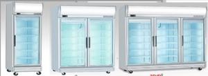 Tủ trưng bày Freezer